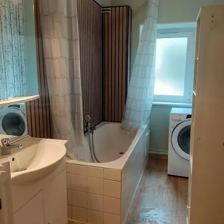 Furnished 公寓 梅斯
